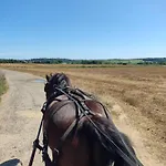 Hébergement de vacances Ferme Moulin Henrot Chimay