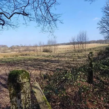 Ferme Moulin Henrot Holiday home Chimay