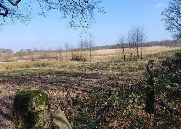 Ferme Moulin Henrot Holiday home Chimay