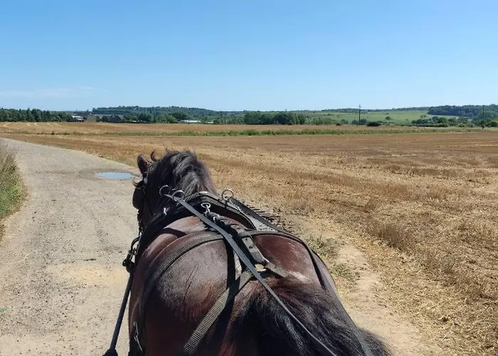 Holiday home Ferme Moulin Henrot Chimay